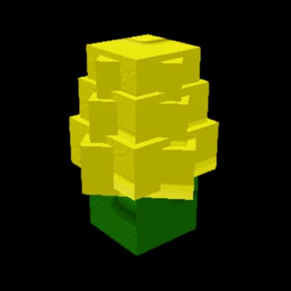 Corn